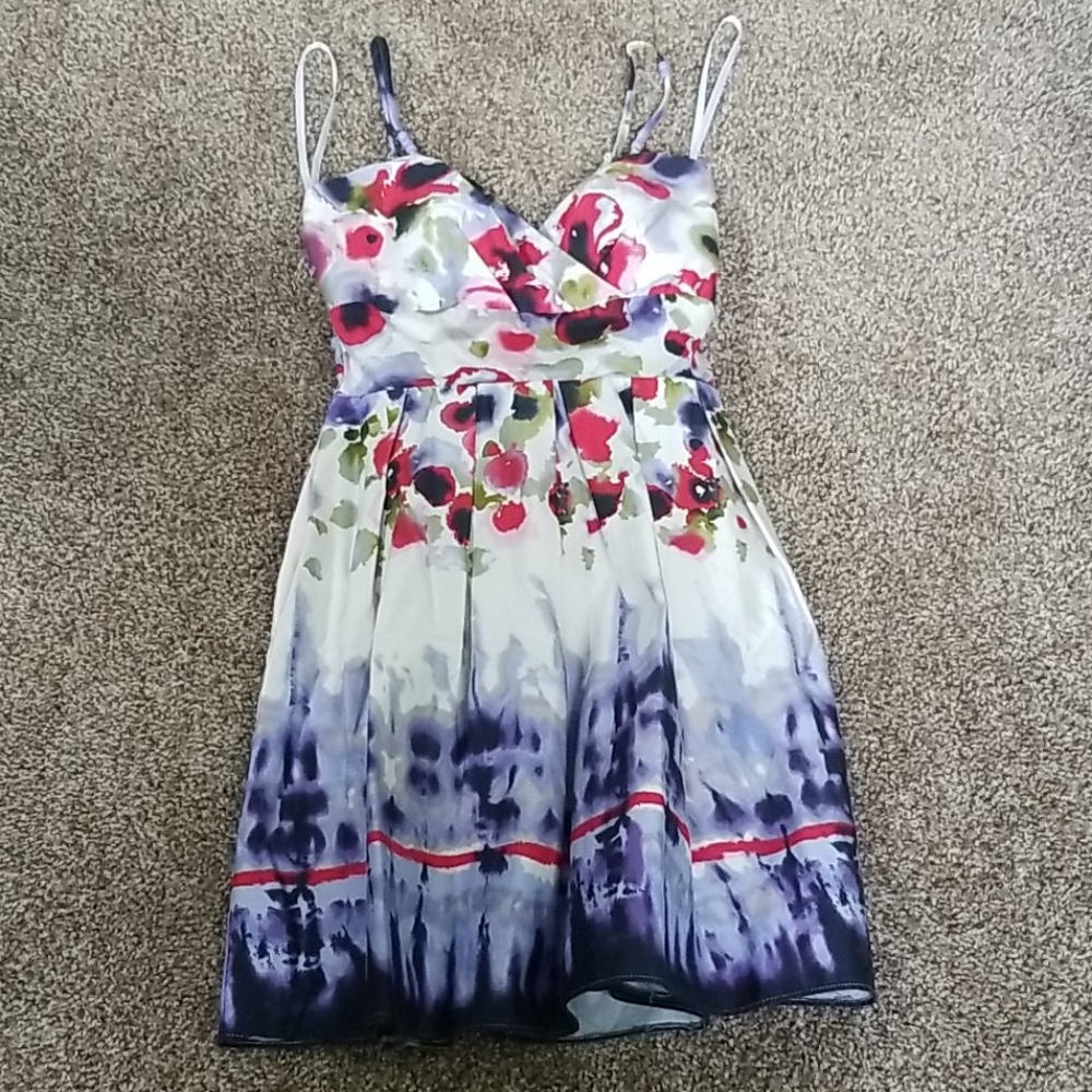 Alyn Paige Summer Dress